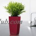 Lechuza Maxi Cubi Self-Watering Planter   